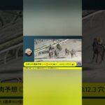 【大井競馬やるんかい！】2戦2勝で迎えた！タツキング予想は3.4.5.6馬単BOXのみでの大井最終12レース編！ #大井競馬 #競馬ライブ #大井競馬予想