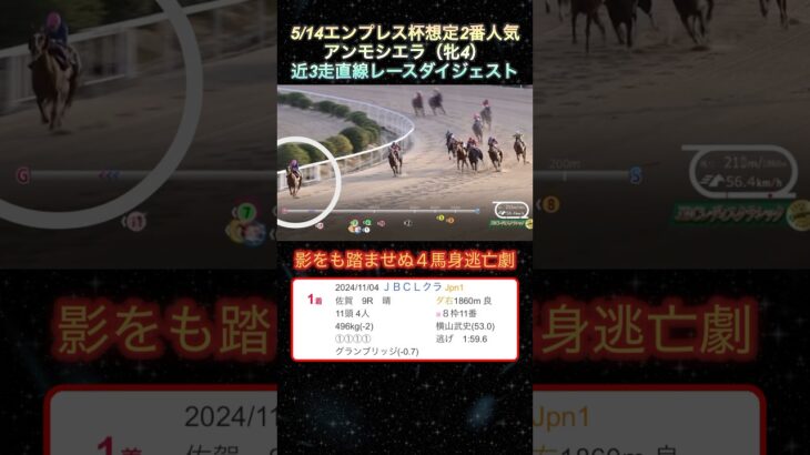 【アンモシエラ】 エンプレス杯想定2番人気！近3走ダイジェスト  #競馬  #エンプレス杯  #アンモシエラ  #shorts