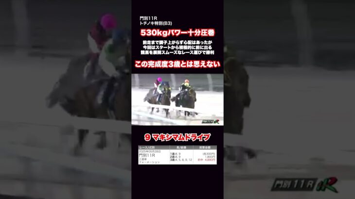 【門別競馬】最強3歳スプリンター候補マキシマムドライブ #門別競馬 #地方競馬 #競馬予想 #マキシマムドライブ #勝てる馬券