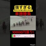 【発狂確定】流石に強すぎる馬が3倍もついちゃったので単勝1万勝負した結果… #競馬 #競馬予想 #jra #地方競馬 #ギャンブル #ギャンブル依存症 #ウマ娘 #ウマ娘プリティーダービー #武豊