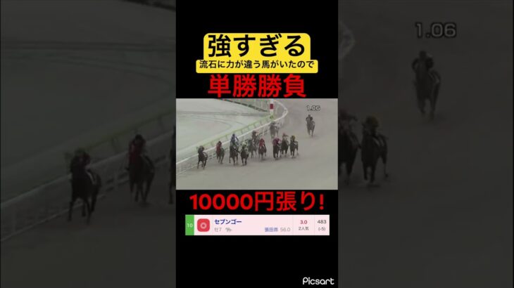 【発狂確定】流石に強すぎる馬が3倍もついちゃったので単勝1万勝負した結果… #競馬 #競馬予想 #jra #地方競馬 #ギャンブル #ギャンブル依存症 #ウマ娘 #ウマ娘プリティーダービー #武豊