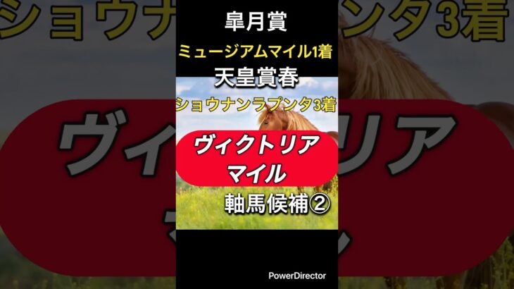 ヴィクトリアマイル軸馬候補②#競馬 #競馬予想 #馬 #5月 #東京#クイーンズウォーク