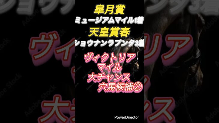 ヴィクトリアマイル まだまだ成長途中！？ #競馬 #競馬予想 #東京競馬予想 #ランキング #中央競馬予想 #馬 #5月 #ヴィクトリアマイル #ミアネーロ