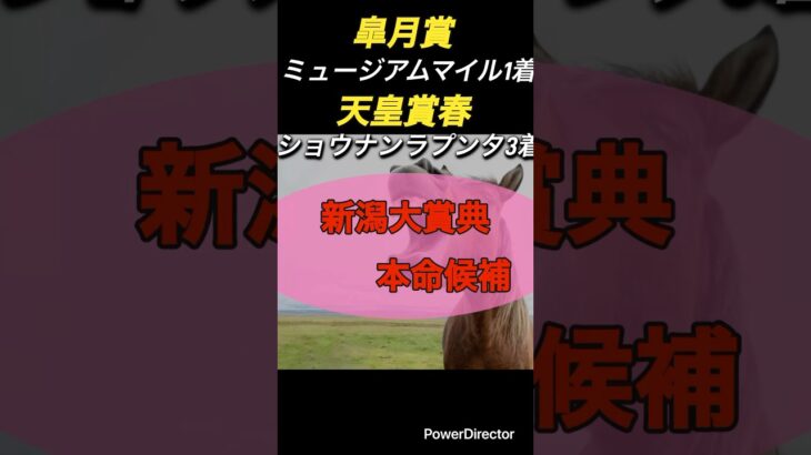 #競馬 #東京競馬予想 #ランキング #中央競馬予想 #馬 #競馬予想 #大予想 #5月 #新潟大賞典 #ヴィクトリアマイル #オールナット