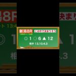 5月10日(土)新潟競馬全レース予想🥳⭐️#競馬 #競馬予想 #予想 #馬 #中央競馬 #中央競馬予想 #新潟競馬場