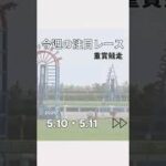 今週の注目レース5/10.5/11 #競馬 #競馬予想 #ウマ娘 #nhkマイルカップ