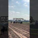 5月10日の東京12R推奨馬 #競馬 #中央競馬
