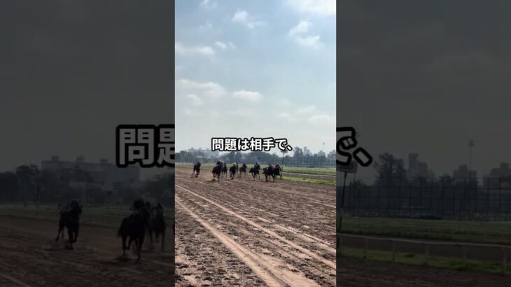 5月10日の東京12R推奨馬 #競馬 #中央競馬