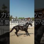5月10日の京都4R推奨馬 #競馬 #中央競馬
