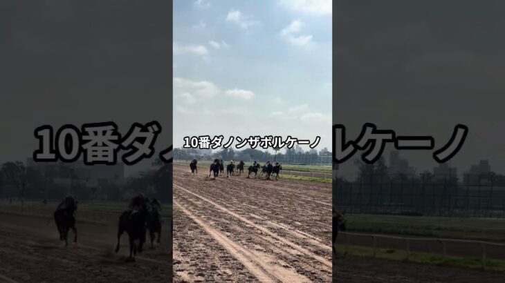 5月11日の東京12R推奨馬 #競馬 #東京競馬