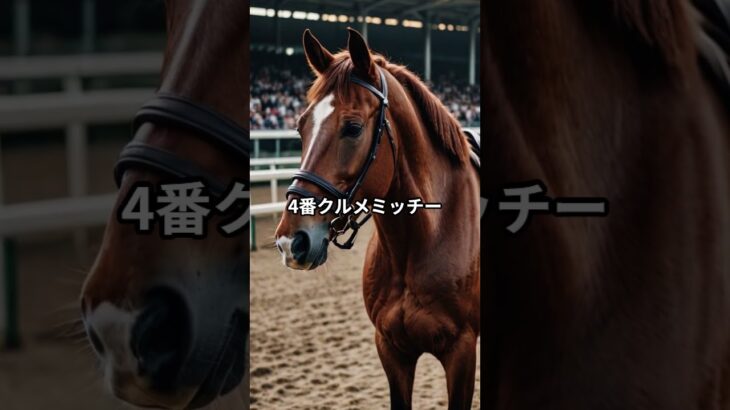 5月13日の川崎12R推奨馬 #競馬 #川崎競馬