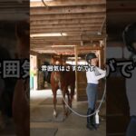 5月14日の川崎10R推奨馬 #競馬 #川崎競馬