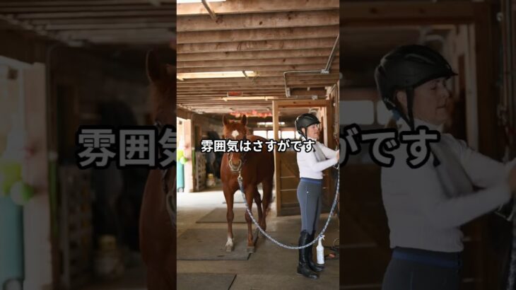 5月14日の川崎10R推奨馬 #競馬 #川崎競馬
