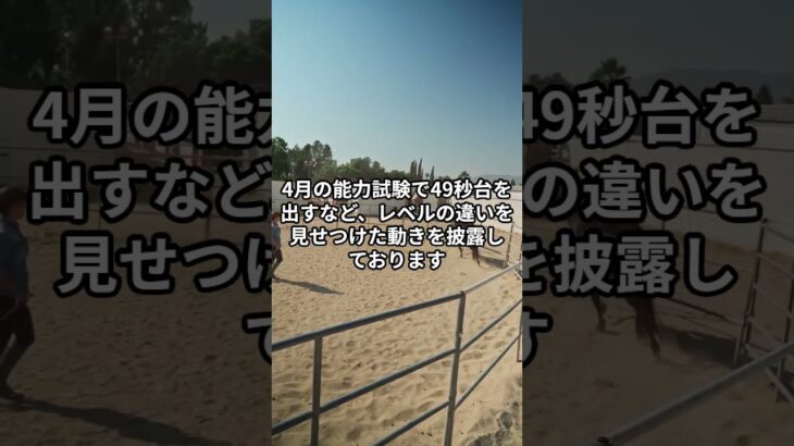 5月14日の門別5R推奨馬 #競馬 #門別競馬