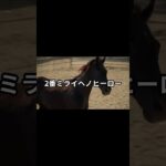 5月15日の門別3R推奨馬 #競馬 #門別競馬