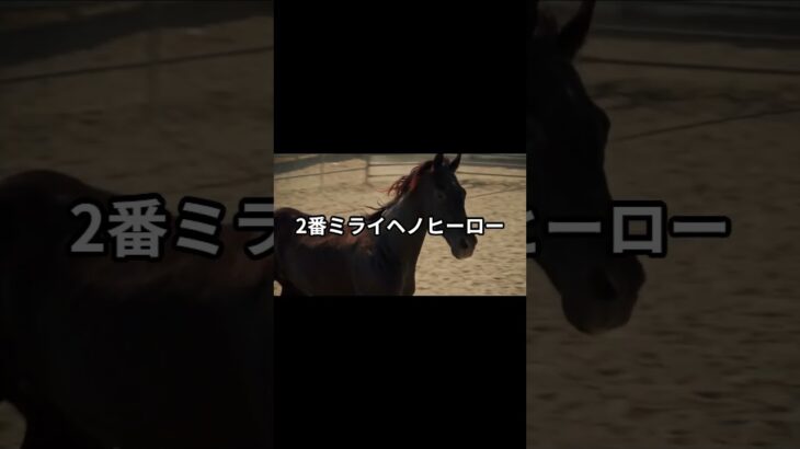 5月15日の門別3R推奨馬 #競馬 #門別競馬