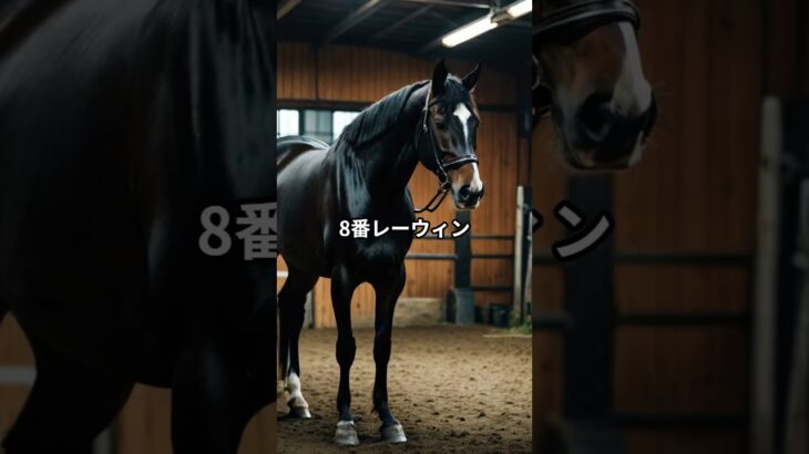 メンバーシップ限定！5月17日の京都10R推奨馬