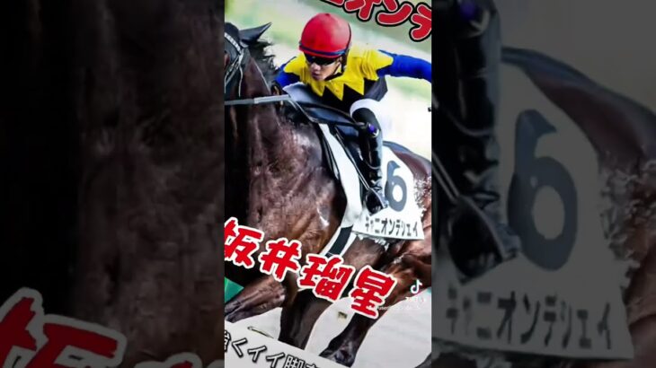 5/17中央競馬予想🐴JRAからお金を取り返せ❗️YouTube本編観てね😮 #競馬 #競馬予想#新潟大賞典