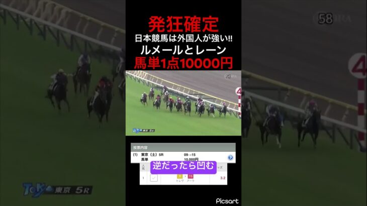 【発狂確定】東京5レースが2強すぎたので馬単1点10000円賭けてみた結果… #競馬 #競馬予想 #jra #地方競馬 #ギャンブル #ウマ娘 #ウマ娘プリティーダービー #東京競馬場 #ルメール