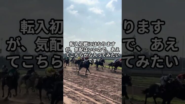 5月21日の名古屋3R推奨馬 #競馬 #名古屋競馬