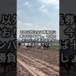 5月22日の門別12R推奨馬 #競馬 #門別競馬