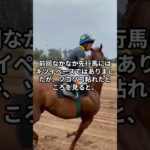 5月22日の園田4R推奨馬 #競馬 #競馬予想