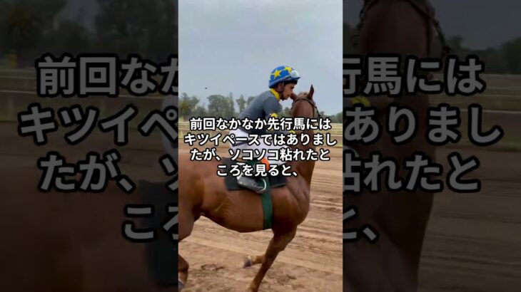 5月22日の園田4R推奨馬 #競馬 #競馬予想