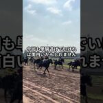 5月22日の園田6R推奨馬 #競馬 #園田競馬