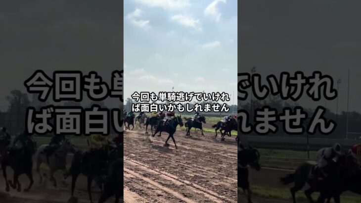 5月22日の園田6R推奨馬 #競馬 #園田競馬