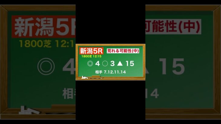5月24日(土)新潟競馬全レース予想🥳⭐️#競馬 #競馬予想 #予想 #馬 #中央競馬 #中央競馬予想 #新潟競馬場