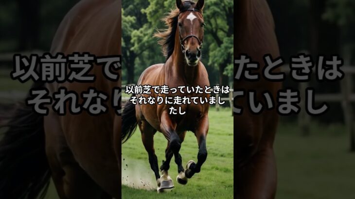 5月3日の京都3R推奨馬 #競馬 #競馬予想