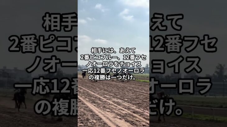 5月8日の園田11R推奨馬 #競馬 #園田競馬