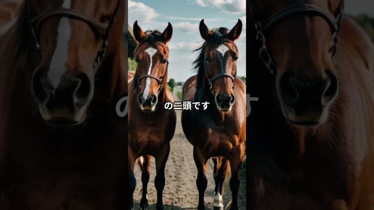 5月8日の門別4R推奨馬 #競馬 #門別競馬