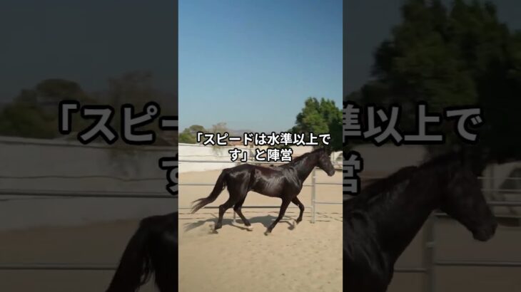 5月8日の門別6R推奨馬 #競馬 #門別競馬