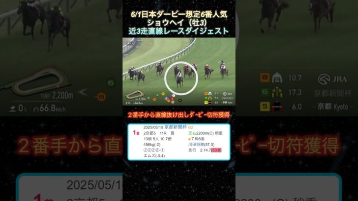 【ショウヘイ】 日本ダービー想定6番人気！近3走ダイジェスト  #競馬  #日本ダービー  #ショウヘイ  #shorts