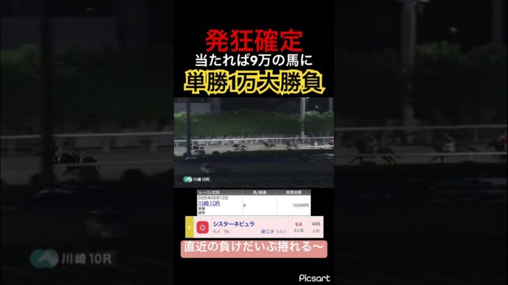 【発狂確定】9.6倍の馬に単勝1万大勝負した結果… #競馬予想 #競馬 #jra #地方競馬 #ウマ娘プリティーダービー #ウマ娘 #ギャンブル #勝負 #発狂 #川崎競馬