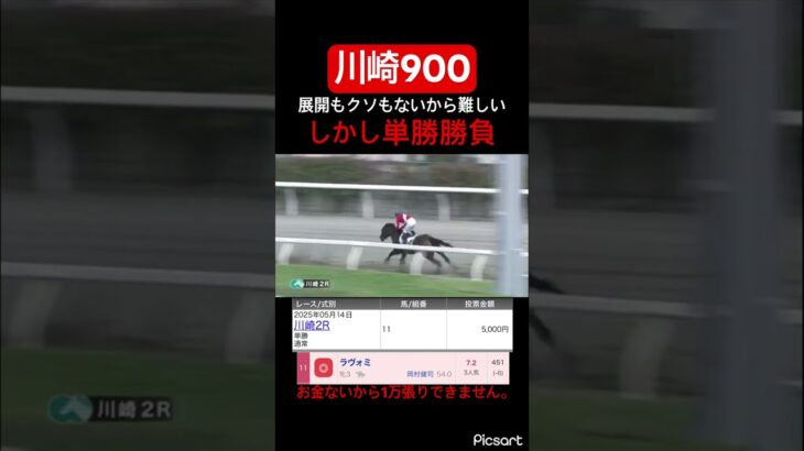 【難解】川崎900ってやっぱり前行く馬買うのが安牌なんすかね？　#競馬 #競馬予想 #地方競馬 #jra #ウマ娘 #ウマ娘プリティーダービー #ギャンブル #川崎競馬