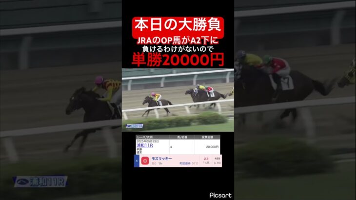 【大勝負】浦和のA2下にJRAのOP馬が!?これが2倍もつくのバグだろ… #競馬予想 #競馬 #jra #地方競馬 #ウマ娘 #ウマ娘プリティーダービー #ギャンブル #ギャンブル依存症 #武豊
