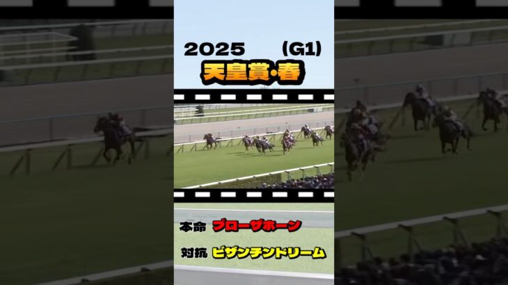 【天皇賞・春(G1)】”結果発表” #競馬 #競馬予想 #天皇賞春 #G1 #ジャスティンパレス #ブローザホーン #サンライズアース #ショウナンラプンタ #へデントール