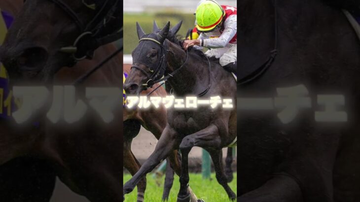 G1オークスの注目馬を3頭紹介＃競馬＃競馬予想＃エンブロイダリー＃アルマヴェローチェ＃リンクスティップ＃優駿牝馬＃オークス