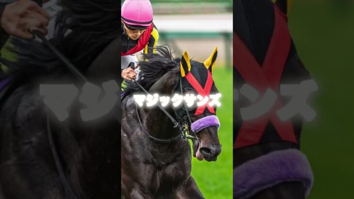 G1NHKマイルカップの穴馬3頭を紹介＃競馬＃競馬予想＃マピュース＃マジックサンズ＃コートアリシアン