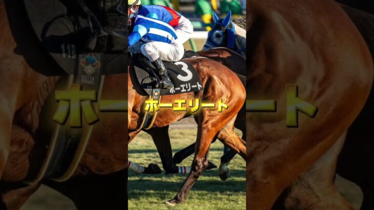 G2目黒記念の穴馬を3頭紹介＃競馬＃競馬予想＃ニシノレヴナント＃ホーエリート＃マテンロウレオ