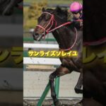 G2目黒記念の注目馬を3頭紹介＃競馬＃競馬予想＃アドマイヤテラ＃スティンガーグラス＃サンライズソレイユ