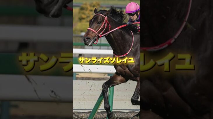 G2目黒記念の注目馬を3頭紹介＃競馬＃競馬予想＃アドマイヤテラ＃スティンガーグラス＃サンライズソレイユ
