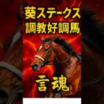 #競馬#予想#G3#葵ステークス#調教#好調#追いきり#京都競馬場