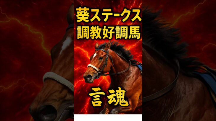 #競馬#予想#G3#葵ステークス#調教#好調#追いきり#京都競馬場