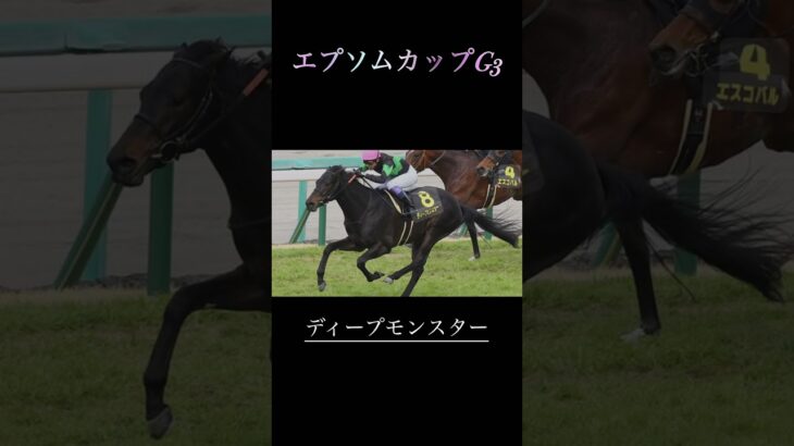 エプソムカップG3予想　　　　#競馬予想 #競馬 #エプソムカップ #undead