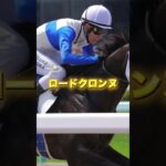 G3平安Sの注目馬3頭を紹介＃競馬＃競馬予想＃ジンセイ＃ロードクロンヌ＃メイショウハリオ