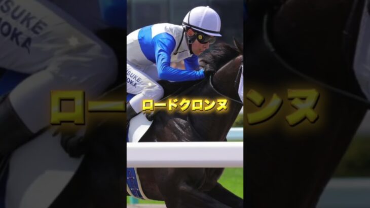 G3平安Sの注目馬3頭を紹介＃競馬＃競馬予想＃ジンセイ＃ロードクロンヌ＃メイショウハリオ