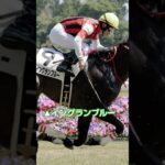 宣伝部員の京都HJ予想#競馬#予想#京都HJ#horse
